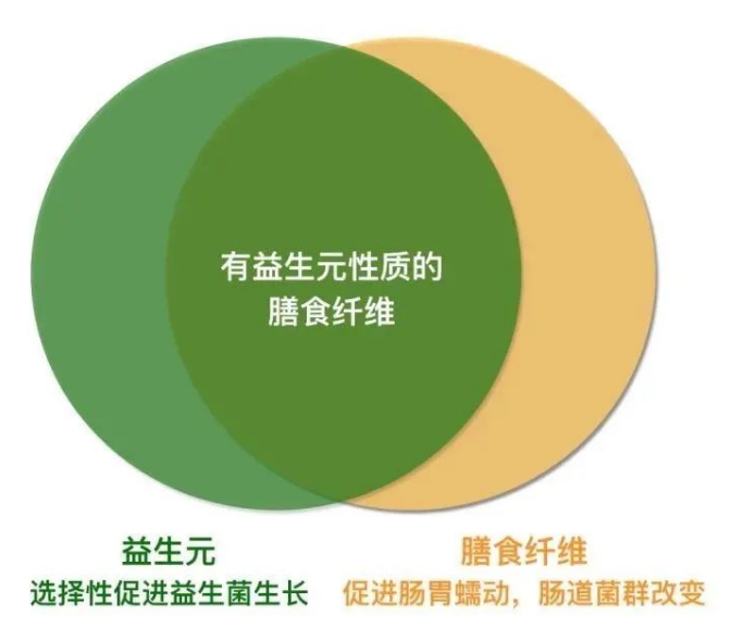 益生元是什么？益生元和膳食纤维有什么区别？——了解宜君素九大益生元