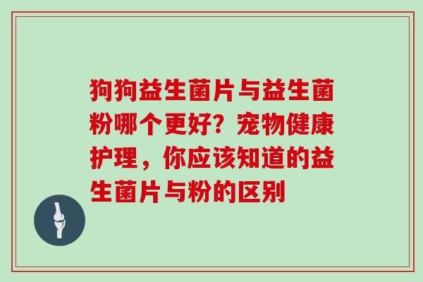 狗狗益生菌片与益生菌粉哪个更好？宠物健康护理，你应该知道的益生菌片与粉的区别