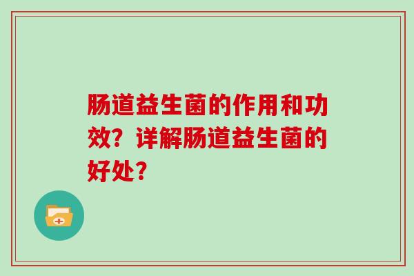 肠道益生菌的作用和功效？详解肠道益生菌的好处？