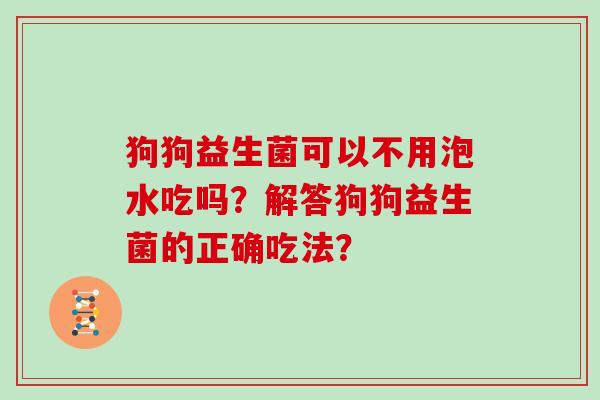 狗狗益生菌可以不用泡水吃吗？解答狗狗益生菌的正确吃法？