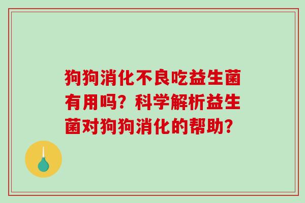 狗狗消化不良吃益生菌有用吗？科学解析益生菌对狗狗消化的帮助？
