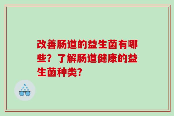 改善肠道的益生菌有哪些？了解肠道健康的益生菌种类？