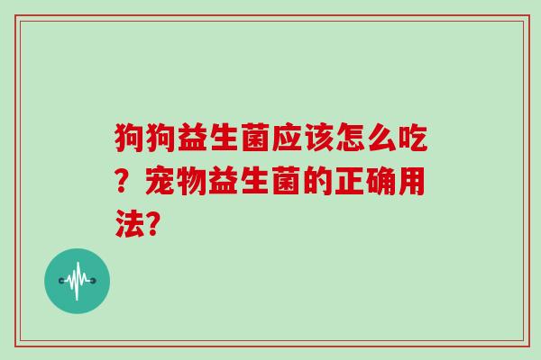 狗狗益生菌应该怎么吃？宠物益生菌的正确用法？