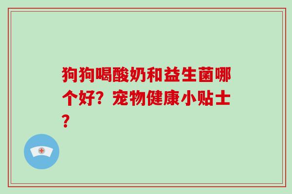 狗狗喝酸奶和益生菌哪个好？宠物健康小贴士？