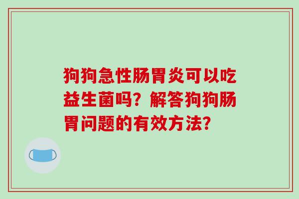 狗狗急性肠可以吃益生菌吗？解答狗狗肠胃问题的有效方法？