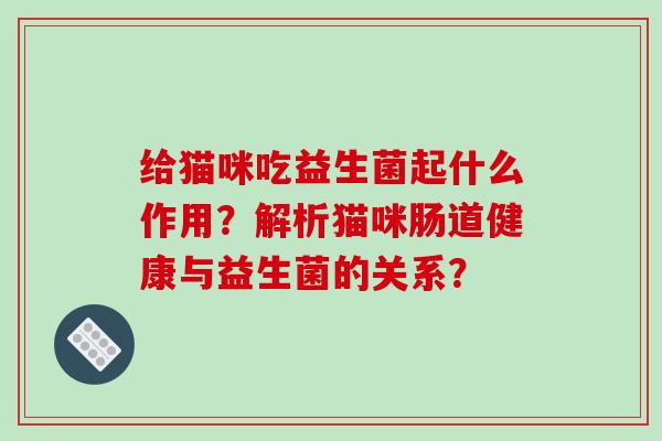 给猫咪吃益生菌起什么作用？解析猫咪肠道健康与益生菌的关系？