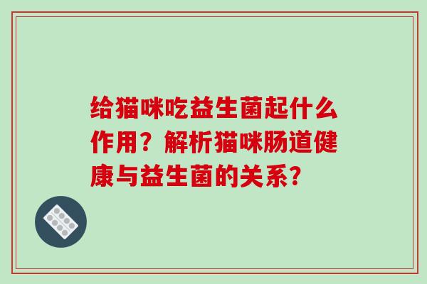 给猫咪吃益生菌起什么作用？解析猫咪肠道健康与益生菌的关系？