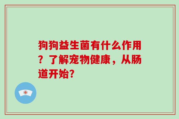 狗狗益生菌有什么作用？了解宠物健康，从肠道开始？