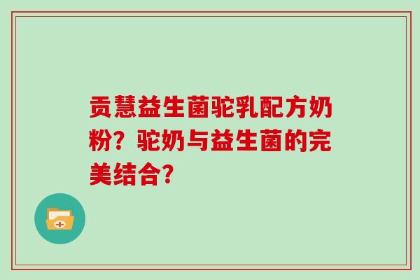 贡慧益生菌驼乳配方奶粉？驼奶与益生菌的完美结合？