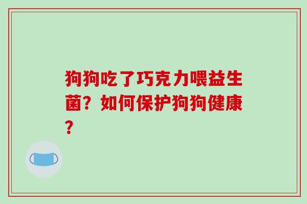 狗狗吃了巧克力喂益生菌？如何保护狗狗健康？