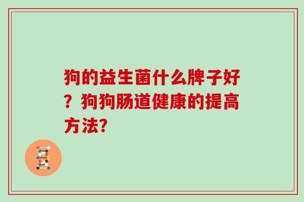 狗的益生菌什么牌子好？狗狗肠道健康的提高方法？