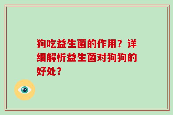 狗吃益生菌的作用？详细解析益生菌对狗狗的好处？