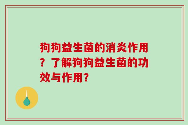 狗狗益生菌的消炎作用？了解狗狗益生菌的功效与作用？