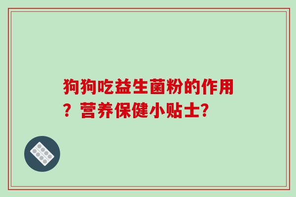 狗狗吃益生菌粉的作用？营养保健小贴士？