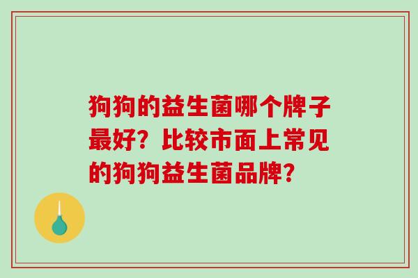 狗狗的益生菌哪个牌子最好？比较市面上常见的狗狗益生菌品牌？