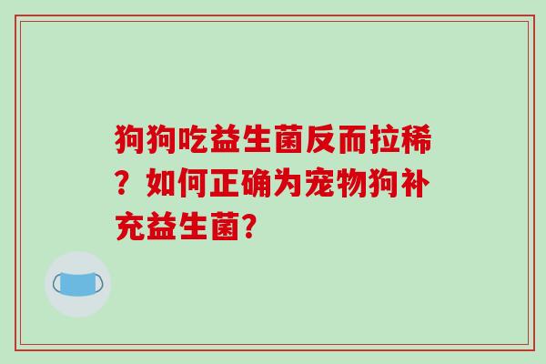 狗狗吃益生菌反而拉稀？如何正确为宠物狗补充益生菌？