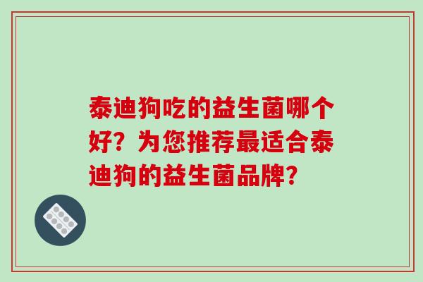 泰迪狗吃的益生菌哪个好？为您推荐最适合泰迪狗的益生菌品牌？