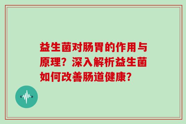 益生菌对肠胃的作用与原理？深入解析益生菌如何改善肠道健康？