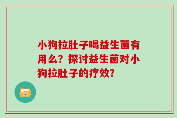 小狗拉肚子喝益生菌有用么？探讨益生菌对小狗拉肚子的疗效？