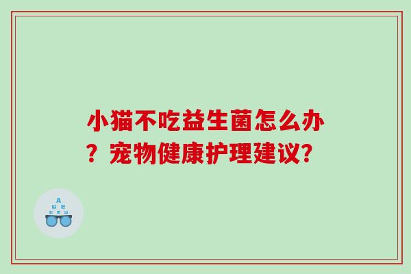 小猫不吃益生菌怎么办？宠物健康护理建议？