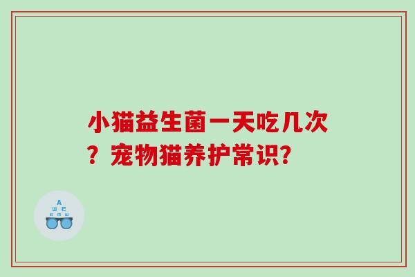 小猫益生菌一天吃几次？宠物猫养护常识？