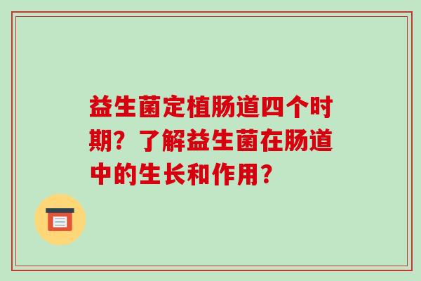 益生菌定植肠道四个时期？了解益生菌在肠道中的生长和作用？