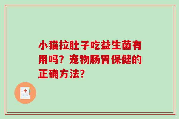 小猫拉肚子吃益生菌有用吗？宠物肠胃保健的正确方法？