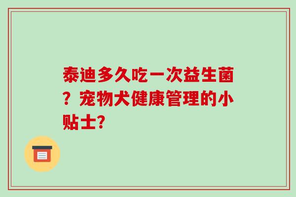 泰迪多久吃一次益生菌？宠物犬健康管理的小贴士？