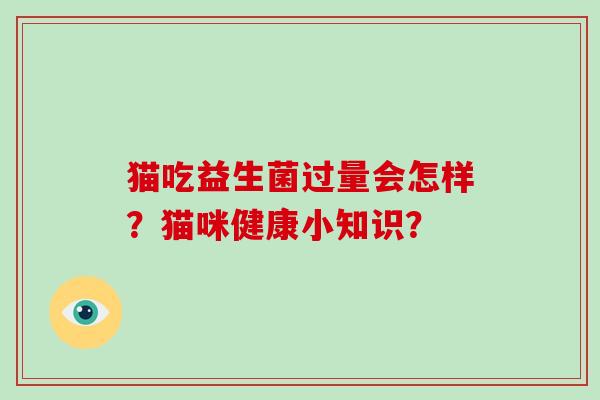 猫吃益生菌过量会怎样？猫咪健康小知识？