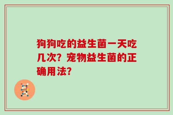 狗狗吃的益生菌一天吃几次？宠物益生菌的正确用法？