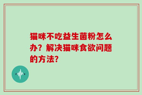 猫咪不吃益生菌粉怎么办？解决猫咪问题的方法？