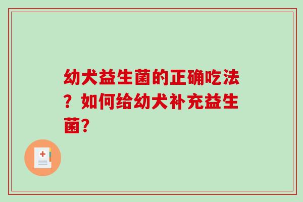 幼犬益生菌的正确吃法？如何给幼犬补充益生菌？