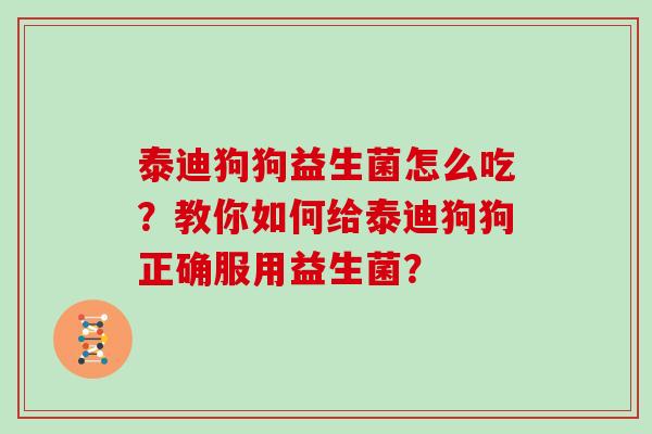 泰迪狗狗益生菌怎么吃？教你如何给泰迪狗狗正确服用益生菌？