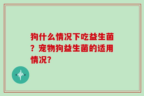 狗什么情况下吃益生菌？宠物狗益生菌的适用情况？
