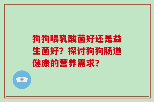 狗狗喂乳酸菌好还是益生菌好？探讨狗狗肠道健康的营养需求？