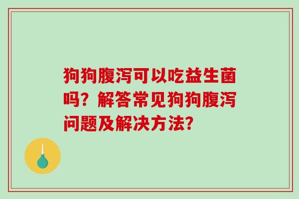 狗狗腹泻可以吃益生菌吗？解答常见狗狗腹泻问题及解决方法？