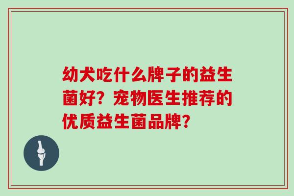 幼犬吃什么牌子的益生菌好？宠物医生推荐的优质益生菌品牌？