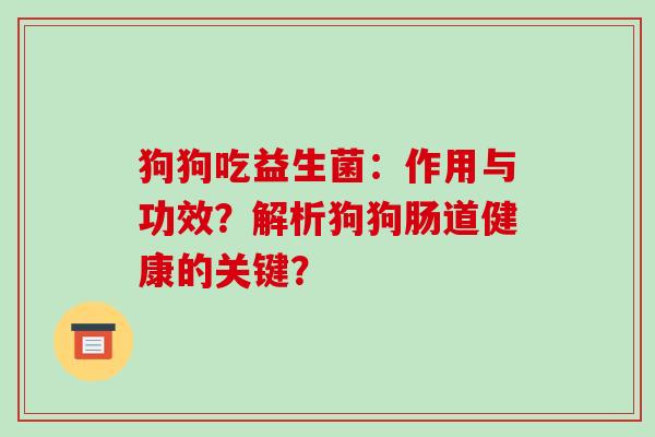狗狗吃益生菌：作用与功效？解析狗狗肠道健康的关键？