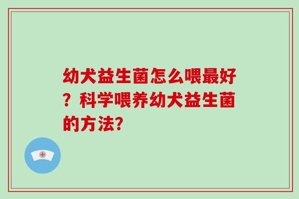 幼犬益生菌怎么喂最好？科学喂养幼犬益生菌的方法？
