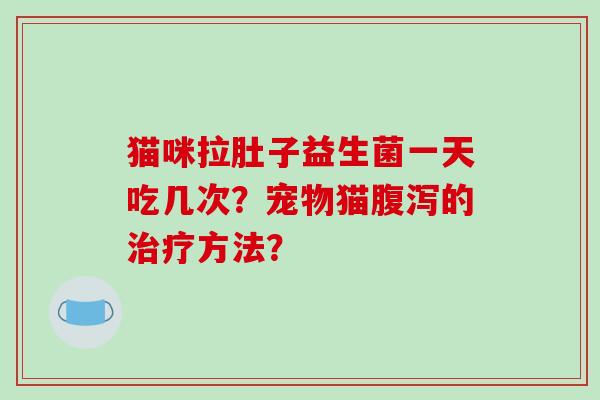 猫咪拉肚子益生菌一天吃几次？宠物猫腹泻的治疗方法？