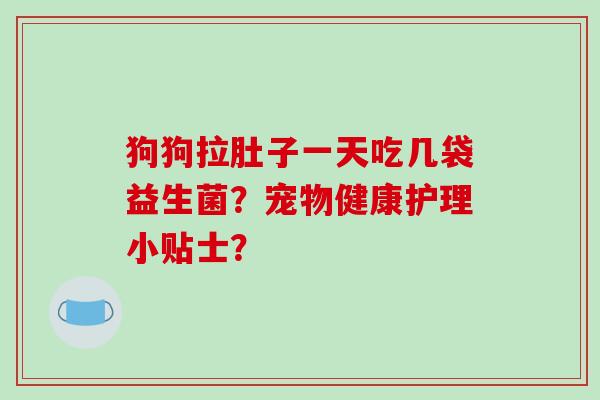 狗狗拉肚子一天吃几袋益生菌？宠物健康护理小贴士？
