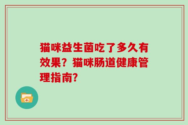 猫咪益生菌吃了多久有效果？猫咪肠道健康管理指南？