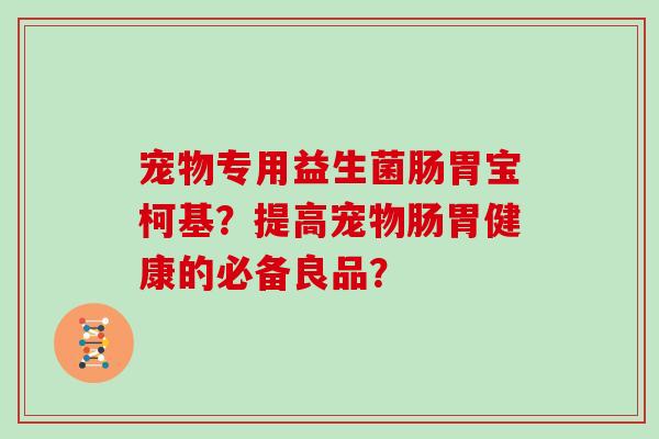 宠物专用益生菌肠胃宝柯基？提高宠物肠胃健康的必备良品？