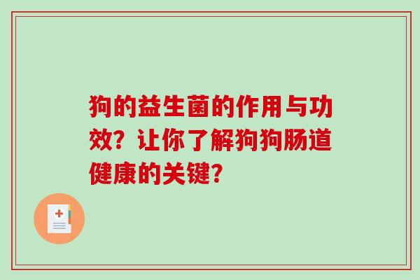 狗的益生菌的作用与功效？让你了解狗狗肠道健康的关键？