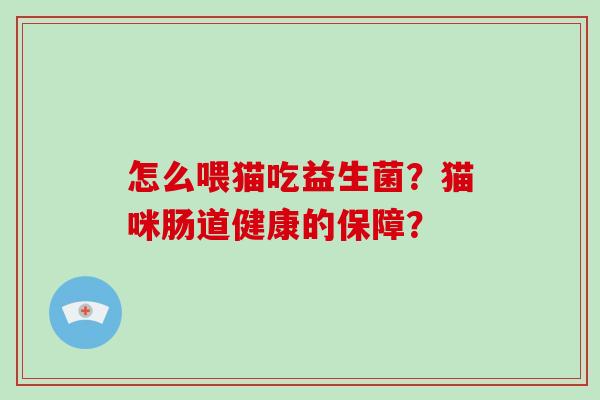 怎么喂猫吃益生菌？猫咪肠道健康的保障？