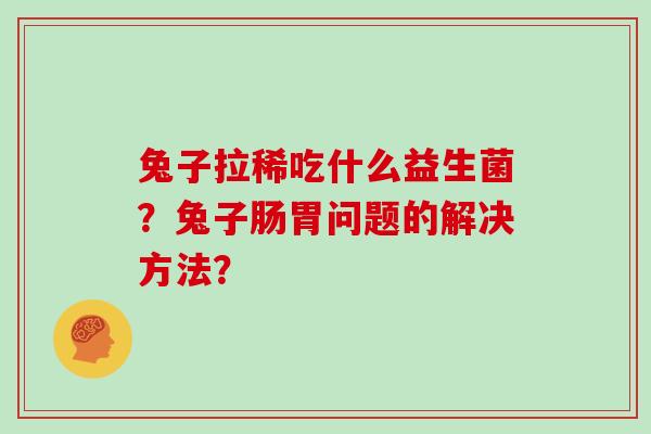 兔子拉稀吃什么益生菌？兔子肠胃问题的解决方法？