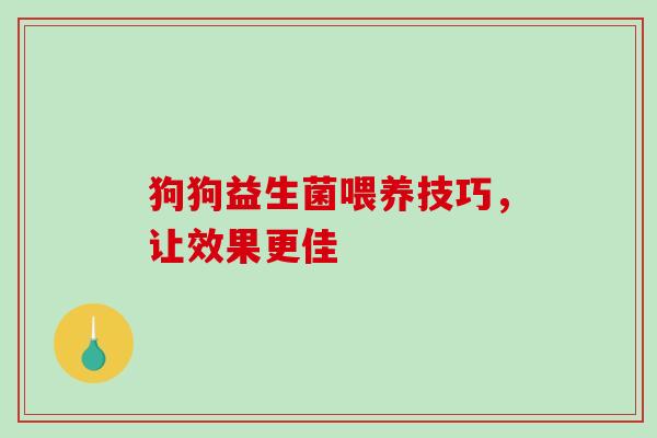 狗狗益生菌喂养技巧，让效果更佳