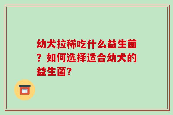 幼犬拉稀吃什么益生菌？如何选择适合幼犬的益生菌？