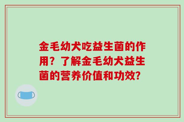 金毛幼犬吃益生菌的作用?了解金毛幼犬益生菌的营养价值和功效? 金毛幼犬吃益生菌的作用?了解金毛幼犬益生菌的营养价值和功效?