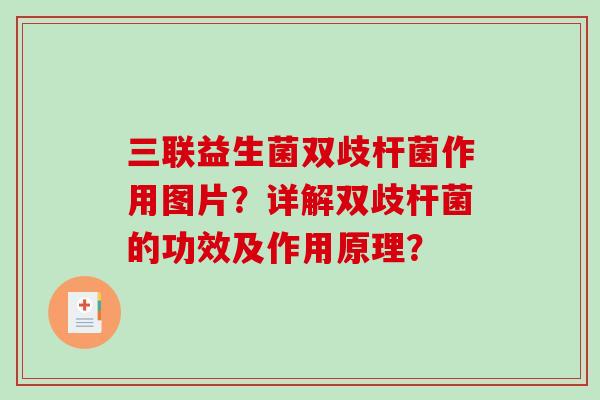 三联益生菌双歧杆菌作用图片?详解双歧杆菌的功效及作用原理? 三联益生菌双歧杆菌作用图片?详解双歧杆菌的功效及作用原理?